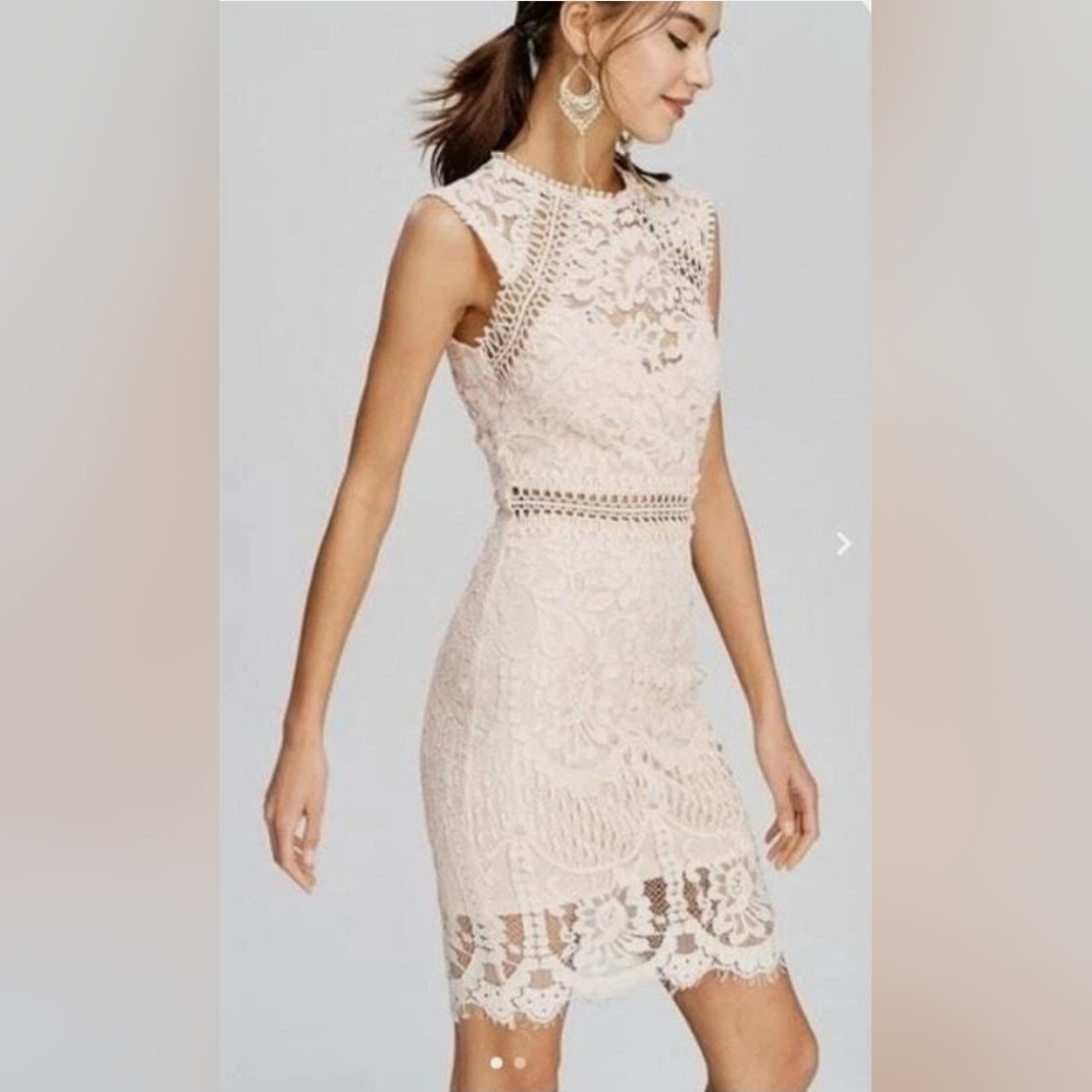 Main Strip Sleeveless Crochet Lace Knee Length Dress Cream Nude Womens - Picture 14 of 16